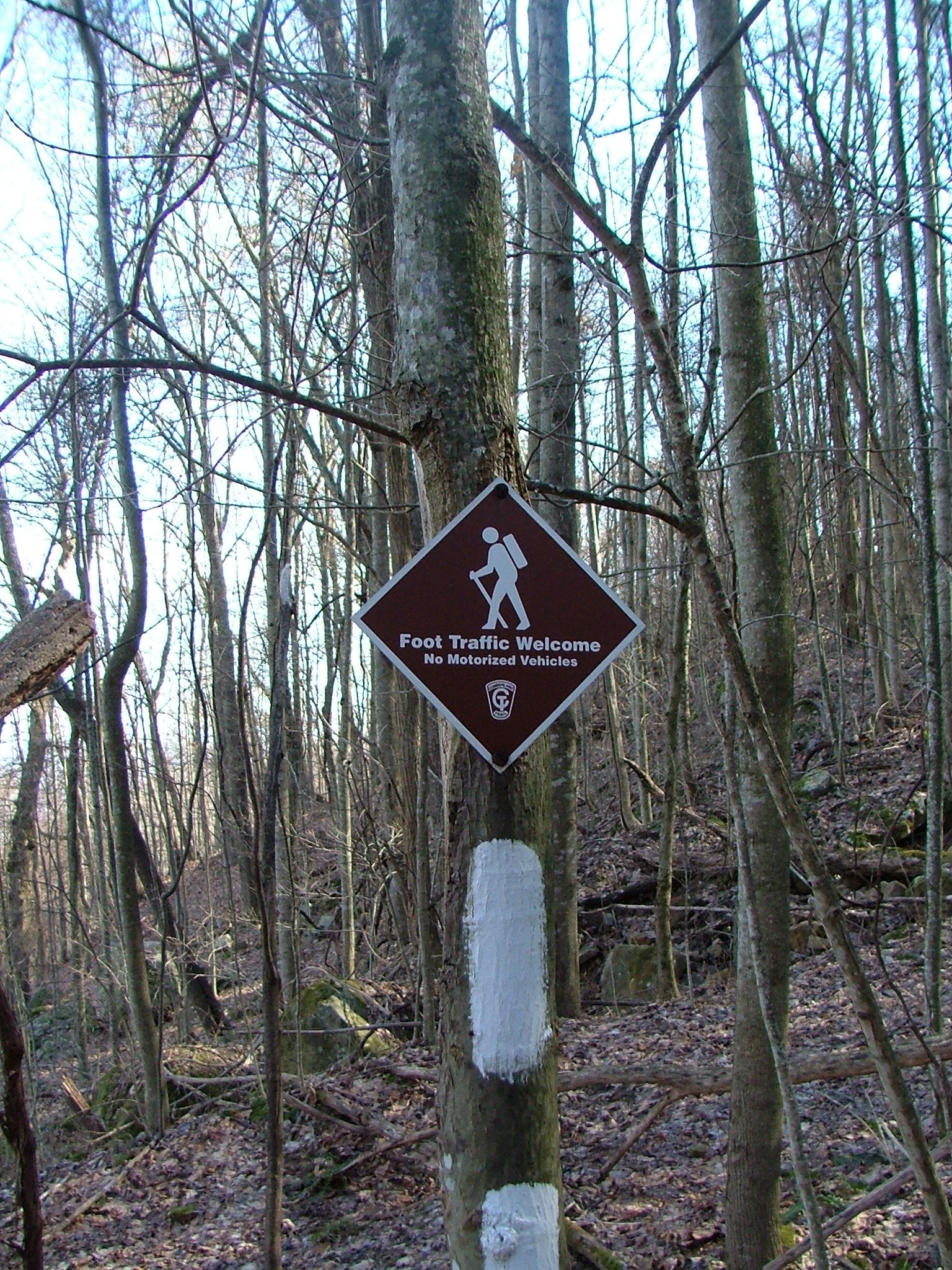 Cumberland Trail